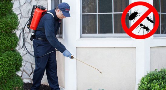 Üçyol Böcek ve Haşere İlaçlama böcek ilaçlama ve haşere kontrolü — ilaclama-tr.com